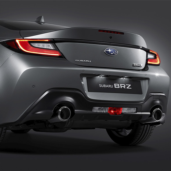 Seguridad BRZ