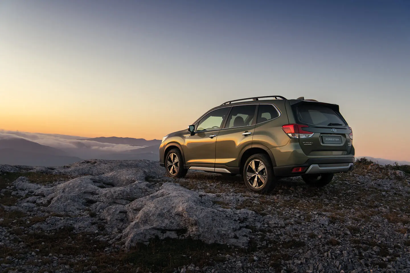 Forester Hibrido OffRoad II
