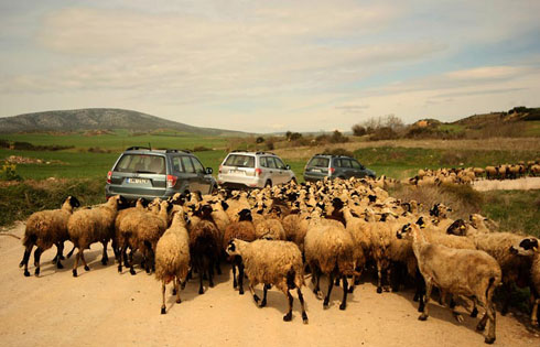 Subaru Forester, caminos de tierra del Rallye de Grecia a su paso por Tesalónica