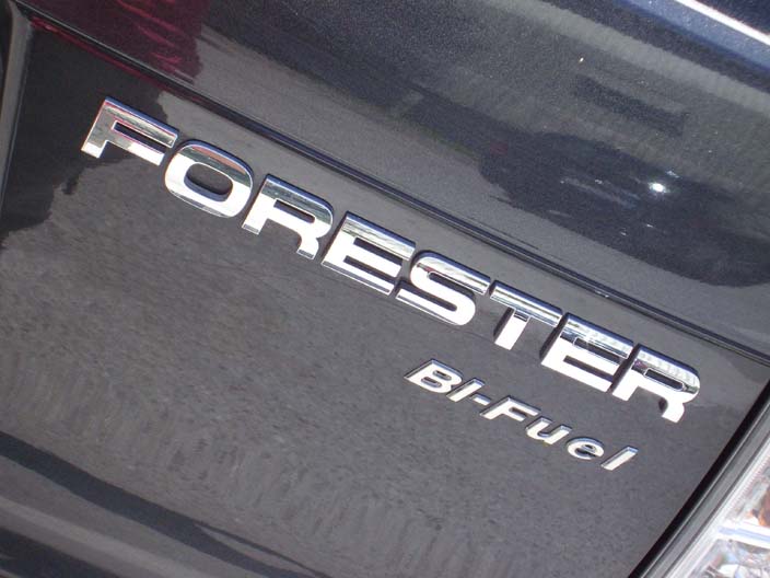 b-logo-forester.jpg