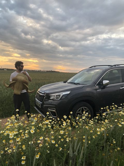 Forester Hybrid autorrecargable en el campo