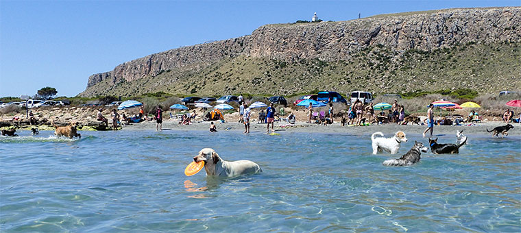 Destino Subaru: La Caleta dels Gosels en Santa Pola