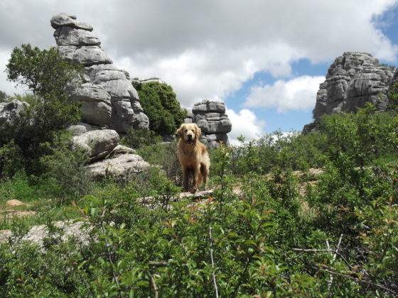 Descubre con Subaru: Torcal de Antequera