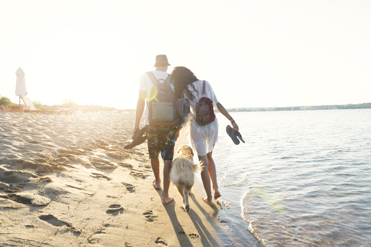 Viaja a la playa con tu perro y tu Subaru